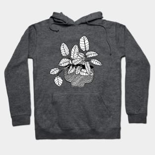 Peppermint Plant Hoodie